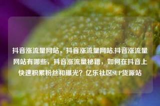 抖音涨流量网站,抖音涨流量网站,抖音涨流量网站有哪些,抖音涨流量秘籍,如何在抖音上快速积累粉丝和曝光?亿乐社区SUP货源站