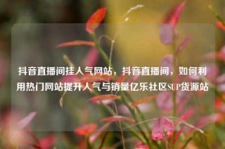抖音直播间挂人气网站,抖音直播间,如何利用热门网站提升人气与销量亿乐社区SUP货源站