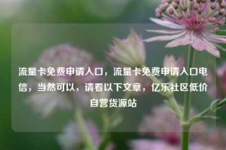流量卡免费申请入口,流量卡免费申请入口电信,当然可以,请看以下文章,亿乐社区低价自营货源站