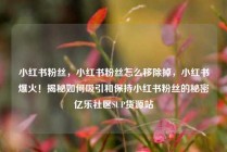 小红书粉丝，小红书粉丝怎么移除掉，小红书爆火！揭秘如何吸引和保持小红书粉丝的秘密亿乐社区SUP货源站