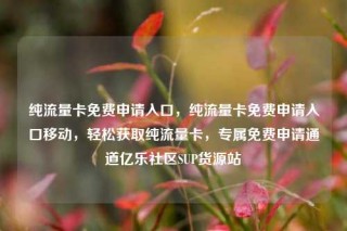 纯流量卡免费申请入口,纯流量卡免费申请入口移动,轻松获取纯流量卡,专属免费申请通道亿乐社区SUP货源站