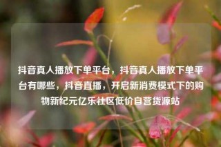 抖音真人播放下单平台,抖音真人播放下单平台有哪些,抖音直播,开启新消费模式下的购物新纪元亿乐社区低价自营货源站