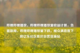 哔哩哔哩播放，哔哩哔哩播放量收益计算，负面新闻，哔哩哔哩播放量下跌，观众满意度下降亿乐社区低价自营货源站