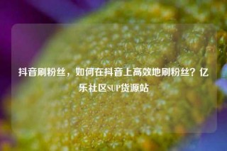 抖音刷粉丝,如何在抖音上高效地刷粉丝?亿乐社区SUP货源站