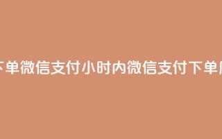 点赞24小时下单微信支付(24小时内微信支付下单，原标题优化)