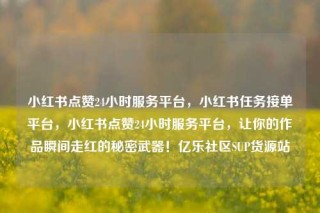 小红书点赞24小时服务平台，小红书任务接单平台，小红书点赞24小时服务平台，让你的作品瞬间走红的秘密武器！亿乐社区SUP货源站