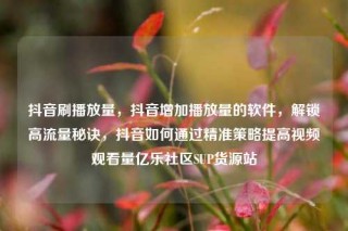 抖音刷播放量，抖音增加播放量的软件，解锁高流量秘诀，抖音如何通过精准策略提高视频观看量亿乐社区SUP货源站
