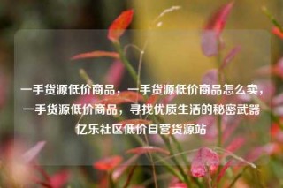 一手货源低价商品,一手货源低价商品怎么卖,一手货源低价商品,寻找优质生活的秘密武器亿乐社区低价自营货源站