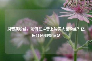 抖音买粉丝,如何在抖音上购买大量粉丝?亿乐社区SUP货源站