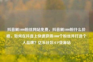 抖音刷1000粉丝网站免费,抖音刷1000粉什么价格,如何在抖音上快速获得1000个粉丝并打造个人品牌?亿乐社区SUP货源站