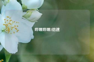 哔哩哔哩2倍速