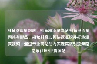 抖音涨流量网站,抖音涨流量网站,抖音涨流量网站有哪些,揭秘抖音如何快速涨粉并打造爆款视频—通过专业网站助力实现高效引流策略亿乐社区SUP货源站