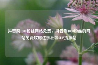 抖音刷1000粉丝网站免费,抖音刷1000粉丝的网站免费攻略亿乐社区SUP货源站