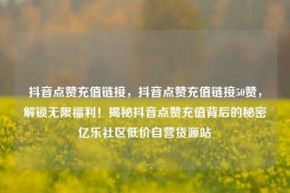抖音点赞充值链接，抖音点赞充值链接50赞，解锁无限福利！揭秘抖音点赞充值背后的秘密亿乐社区低价自营货源站
