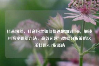 抖音粉丝,抖音粉丝如何快速增加到1000,解锁抖音变现新方法,高效运营与数据分析策略亿乐社区SUP货源站