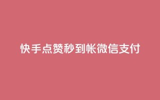 快手点赞秒到帐微信支付,ks免费业务平台微信支付 - 卡盟官网入口 - 抖音24小时自助服务平台免费