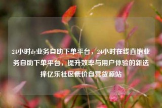 24小时dy业务自助下单平台,24小时在线直销业务自助下单平台,提升效率与用户体验的新选择亿乐社区低价自营货源站