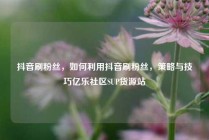 抖音刷粉丝,如何利用抖音刷粉丝,策略与技巧亿乐社区SUP货源站