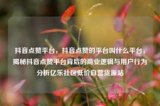 抖音点赞平台,抖音点赞的平台叫什么平台,揭秘抖音点赞平台背后的商业逻辑与用户行为分析亿乐社区低价自营货源站