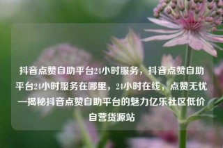 抖音点赞自助平台24小时服务,抖音点赞自助平台24小时服务在哪里,24小时在线,点赞无忧—揭秘抖音点赞自助平台的魅力亿乐社区低价自营货源站
