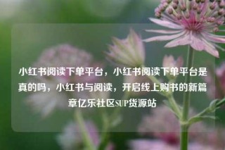 小红书阅读下单平台,小红书阅读下单平台是真的吗,小红书与阅读,开启线上购书的新篇章亿乐社区SUP货源站