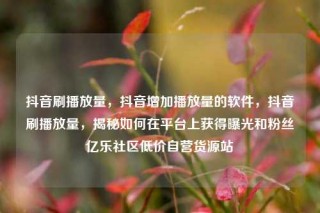 抖音刷播放量,抖音增加播放量的软件,抖音刷播放量,揭秘如何在平台上获得曝光和粉丝亿乐社区低价自营货源站
