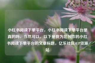 小红书阅读下单平台,小红书阅读下单平台是真的吗,当然可以。以下是我为您创作的小红书阅读下单平台的文章标题,亿乐社区SUP货源站