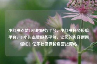 小红书点赞24小时服务平台,小红书任务接单平台,24小时点赞服务平台,让您的内容瞬间爆红!亿乐社区低价自营货源站