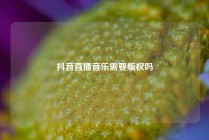 抖音直播音乐需要版权吗