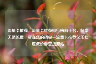 流量卡推荐,流量卡推荐排行榜前十名,畅享无限流量,尽在您的指尖—流量卡推荐亿乐社区低价自营货源站