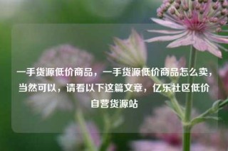 一手货源低价商品，一手货源低价商品怎么卖，当然可以，请看以下这篇文章，亿乐社区低价自营货源站