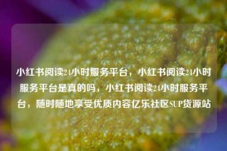 小红书阅读24小时服务平台,小红书阅读24小时服务平台是真的吗,小红书阅读24小时服务平台,随时随地享受优质内容亿乐社区SUP货源站