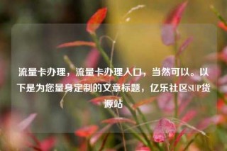 流量卡办理,流量卡办理入口,当然可以。以下是为您量身定制的文章标题,亿乐社区SUP货源站