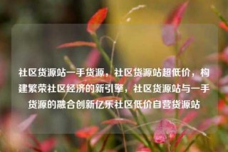 社区货源站一手货源,社区货源站超低价,构建繁荣社区经济的新引擎,社区货源站与一手货源的融合创新亿乐社区低价自营货源站