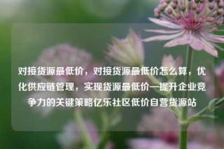 对接货源最低价,对接货源最低价怎么算,优化供应链管理,实现货源最低价—提升企业竞争力的关键策略亿乐社区低价自营货源站