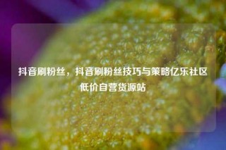 抖音刷粉丝,抖音刷粉丝技巧与策略亿乐社区低价自营货源站