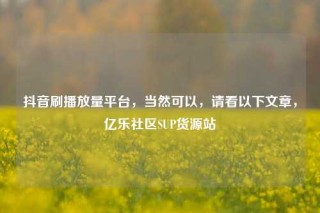 抖音刷播放量平台,当然可以,请看以下文章,亿乐社区SUP货源站