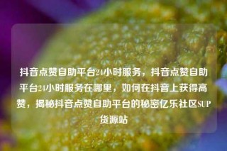抖音点赞自助平台24小时服务,抖音点赞自助平台24小时服务在哪里,如何在抖音上获得高赞,揭秘抖音点赞自助平台的秘密亿乐社区SUP货源站