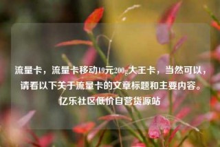 流量卡,流量卡移动19元200g大王卡,当然可以,请看以下关于流量卡的文章标题和主要内容。亿乐社区低价自营货源站