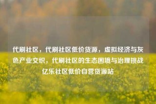 代刷社区,代刷社区低价货源,虚拟经济与灰色产业交织,代刷社区的生态困境与治理挑战亿乐社区低价自营货源站