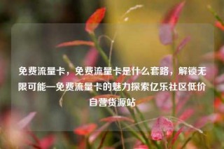 免费流量卡,免费流量卡是什么套路,解锁无限可能—免费流量卡的魅力探索亿乐社区低价自营货源站