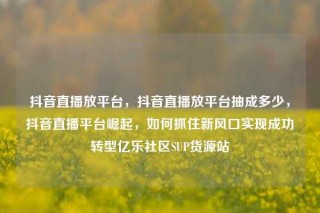 抖音直播放平台，抖音直播放平台抽成多少，抖音直播平台崛起，如何抓住新风口实现成功转型亿乐社区SUP货源站