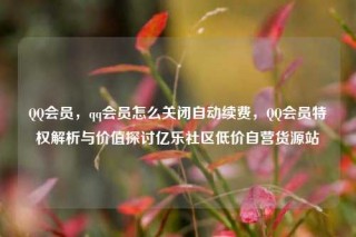 QQ会员,qq会员怎么关闭自动续费,QQ会员特权解析与价值探讨亿乐社区低价自营货源站