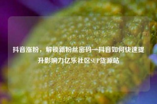 抖音涨粉,解锁新粉丝密码—抖音如何快速提升影响力亿乐社区SUP货源站