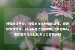 抖音刷播放量,抖音增加播放量的软件,短视频流量博弈,抖音数据造假背后的产业困局与生态重构亿乐社区低价自营货源站
