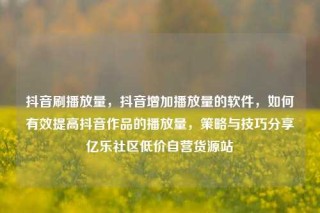 抖音刷播放量,抖音增加播放量的软件,如何有效提高抖音作品的播放量,策略与技巧分享亿乐社区低价自营货源站