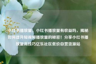 小红书播放量,小红书播放量有收益吗,揭秘如何提升短视频播放量的秘密!分享小红书播放量高技巧亿乐社区低价自营货源站