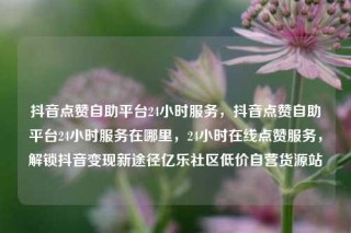 抖音点赞自助平台24小时服务,抖音点赞自助平台24小时服务在哪里,24小时在线点赞服务,解锁抖音变现新途径亿乐社区低价自营货源站