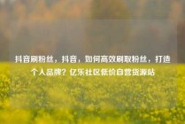 抖音刷粉丝，抖音，如何高效刷取粉丝，打造个人品牌？亿乐社区低价自营货源站