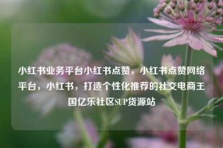 小红书业务平台小红书点赞，小红书点赞网络平台，小红书，打造个性化推荐的社交电商王国亿乐社区SUP货源站